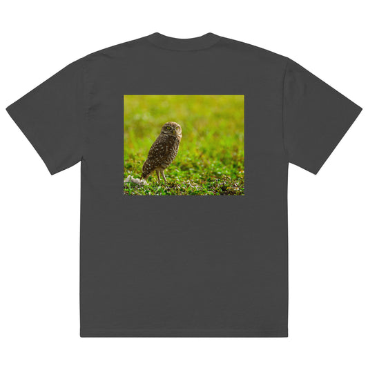Burrowing Owl